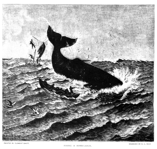 19th CENTURY WHALING TALES. VIST0089k